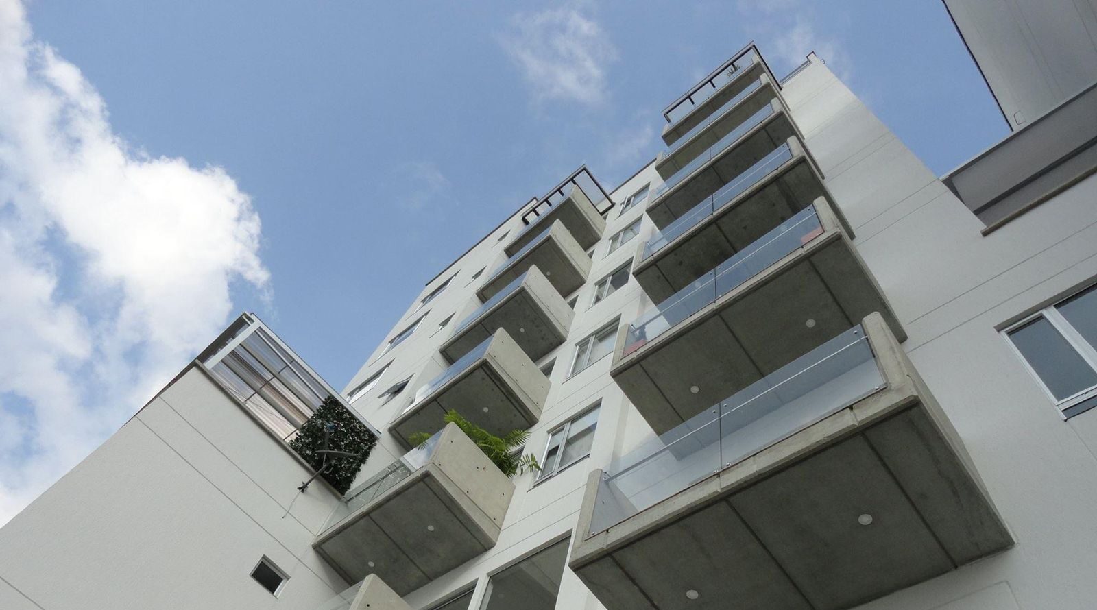 WhatsApp Image 2021-12-10 at 8.37.42 AM